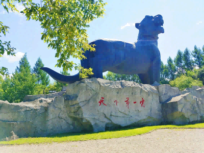 虎林试管婴儿