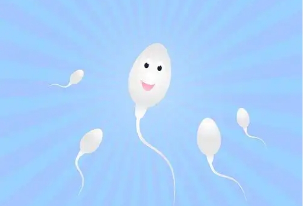 精子前向运动仅13%？备孕路上的挑战与希望