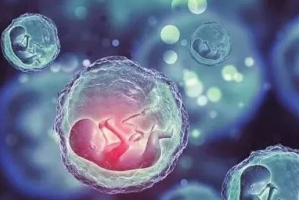 禁欲时间短会导致精子数量不足