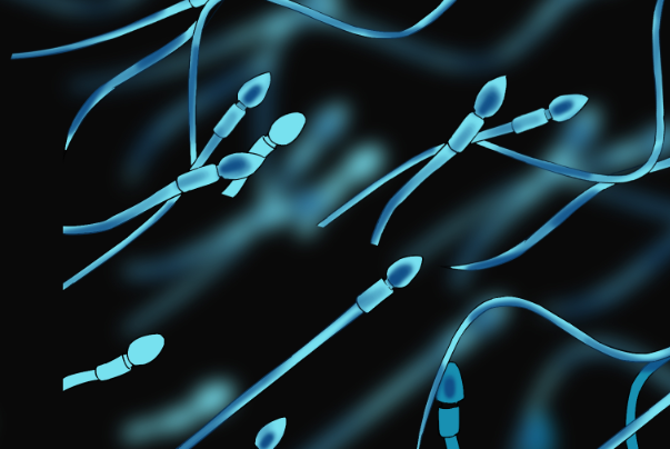 男方精子正常比例只有2%可以做二代试管婴儿吗？