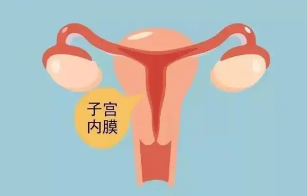 做三代试管子宫什么形态易着床成功呢?