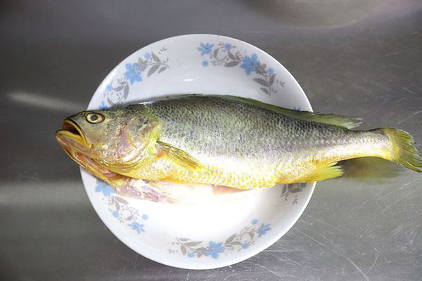 黄花鱼可以补充蛋白质