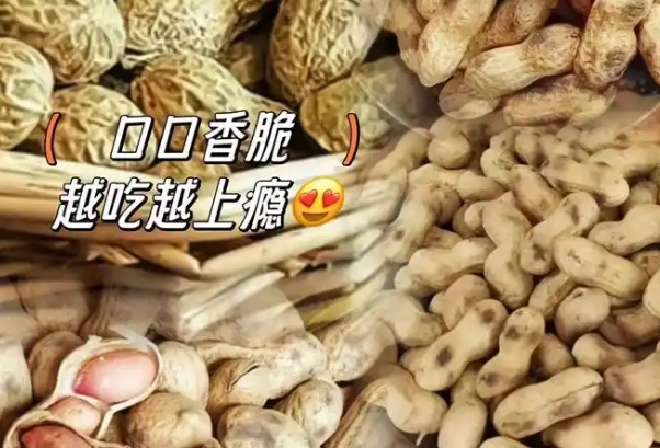 备孕可以吃炒花生还是生花生，两者的核心营养成分相差不大