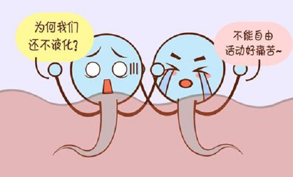 精液不液化无法和卵子结合