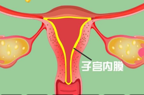 子宫内膜薄可以做试管