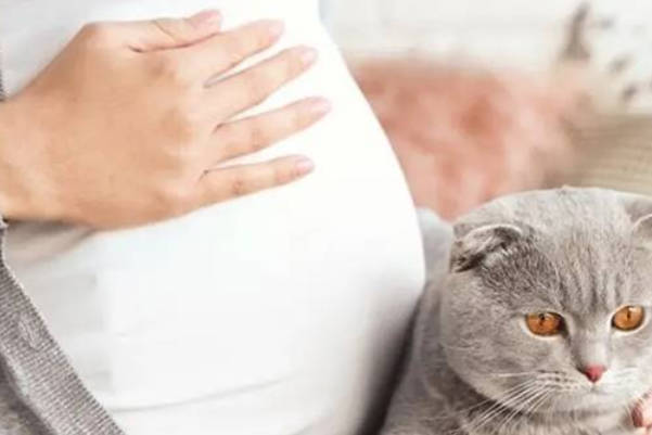 母婴保健手册会写梅毒