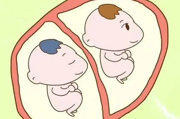 注射促排针比自然怀孕更容易怀双胎