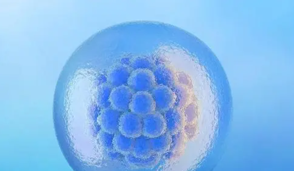 养和医院拥有先进的生殖医学中心