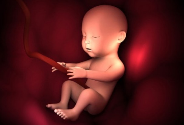 网上都在传的双顶径股骨长判断男女公式怎么算？