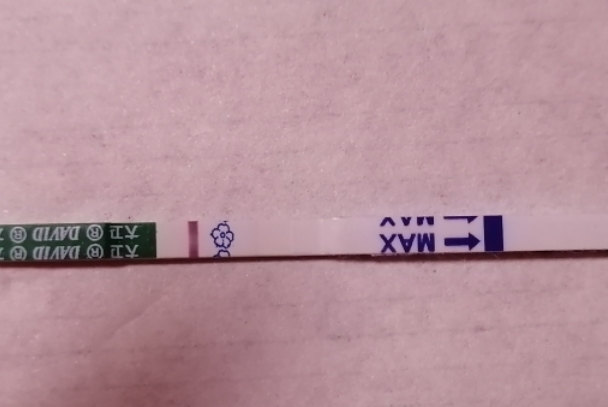 一条线说明没怀孕
