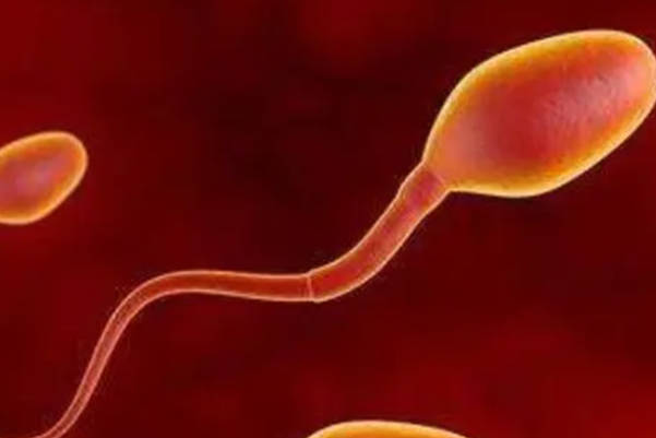 湖北省妇幼供精人工授精：了解精子库捐精者信息的界限与透明度探讨