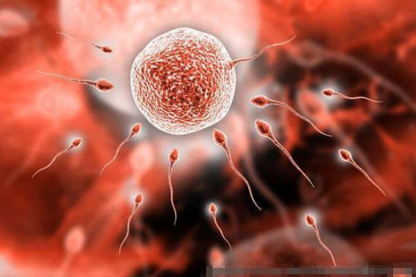 移植后第六天可能会测出来