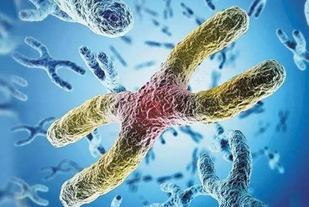 二代试管怀孕后需要做无创DNA