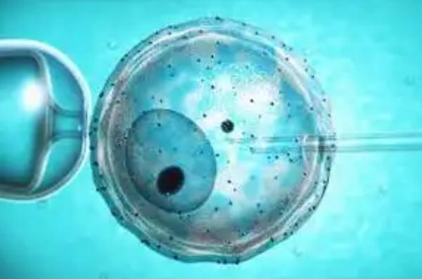 子宫内膜状态会影响胚胎着床