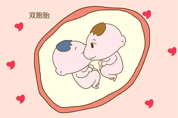 每天吃尿促性素这种促排卵药怀双胞胎几率会变大吗？