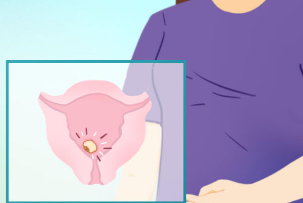 胚胎移植后一般3-7天内着床