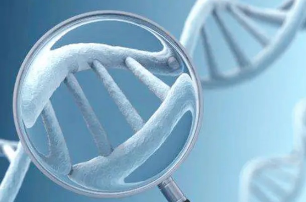 从临床上来说3代试管能否一次性着床成功呢？