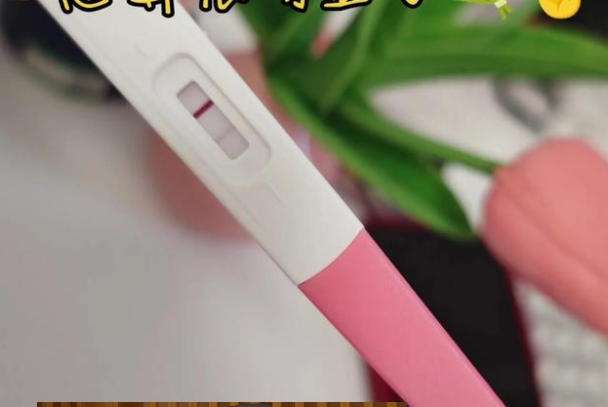 囊胚移植13天hcg值多少属于正常？一文讲透数据和应对策略