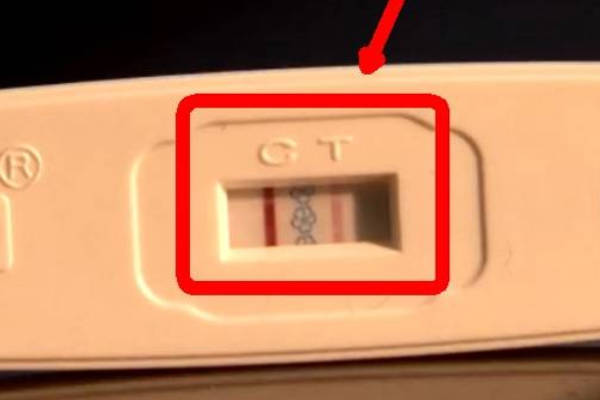 要知道是否怀孕还得通过正规的检查