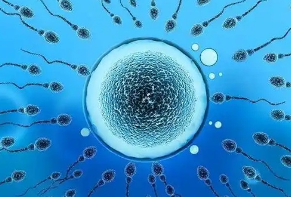 二代试管婴儿生男孩概率更高吗？技术原理和性别比例深度解析