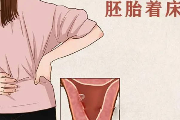 移植鲜胚12天后还是白板测不出来就一定没有着床成功吗？