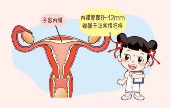 正确的方式促排内分泌水平会随之升高