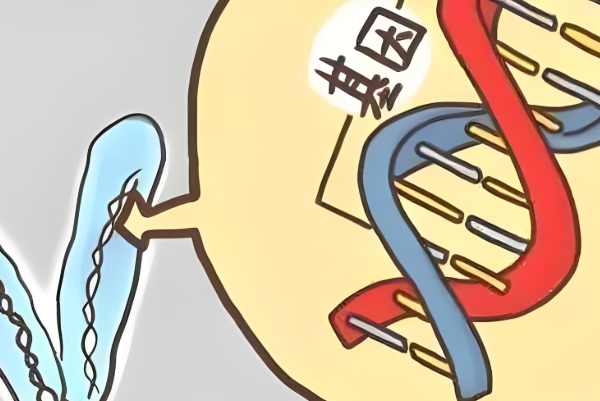 染色体异常胚胎不适合做移植