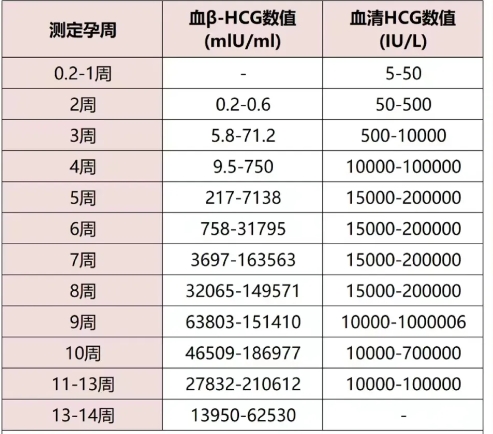 HCG是人绒毛膜促性腺激素