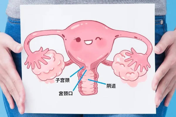 子宫偏小一定没有生育力，评判标准不止看宫腔容积