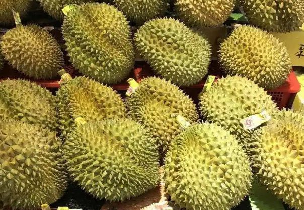 榴莲生长在热带