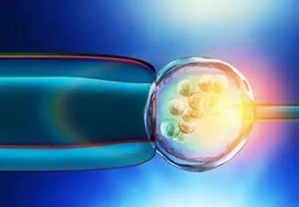 三代试管3bb级别的囊胚能不能移植成功？
