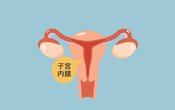 北医三院做三代试管对子宫内膜的标准是什么?