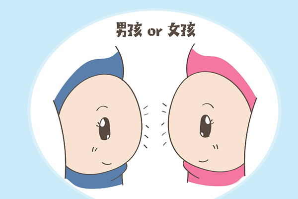 验血看男女是没有科学依据的