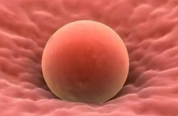 不同检测方法会导致胚胎着床结果有差异