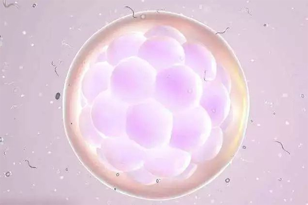 13个卵泡做三代试管能成功