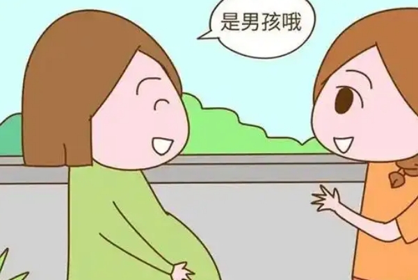 备孕饮食不会影响胎儿性别