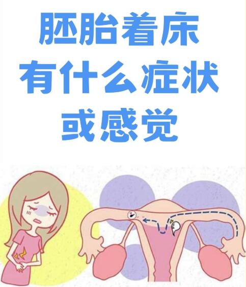 胚胎着床的五大常见症状解析：身体发出的早期信号你知道吗？