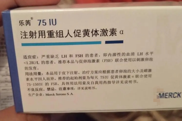 乐芮
