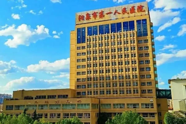 山西阳泉市中心医院可做供精试管