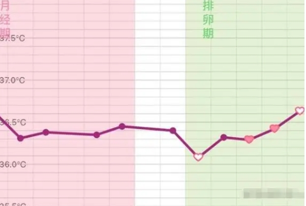 受精卵着床期间体温会短暂下降