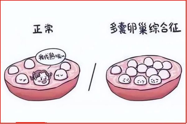 专业医生能提高备孕的效果