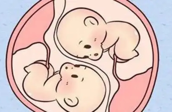 身高153能试管怀双胞胎