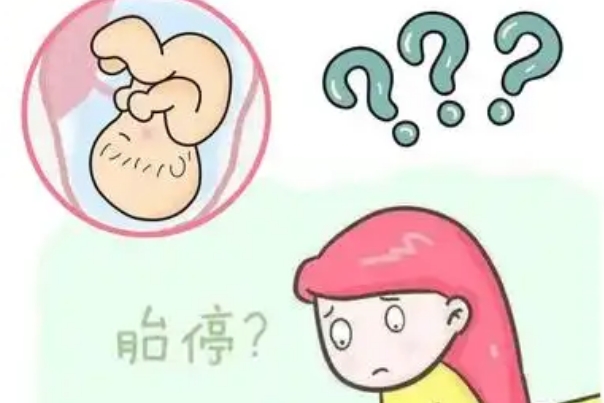胎停是母亲害了孩子的唯一凶手，这话并不绝对