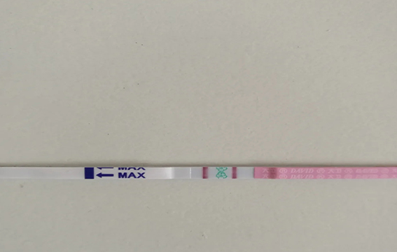 早孕试纸验孕结果不一定十分准确