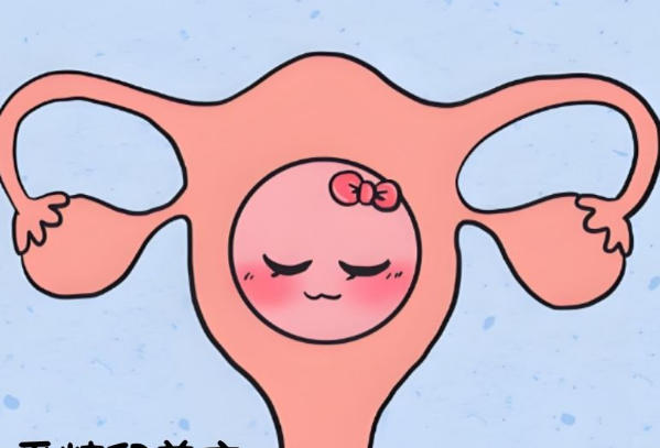 9细胞2级胚胎不是优胚