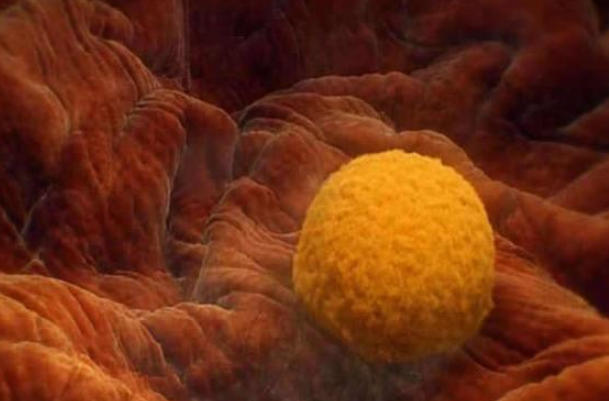 乳房胀痛是胚胎着床的症状