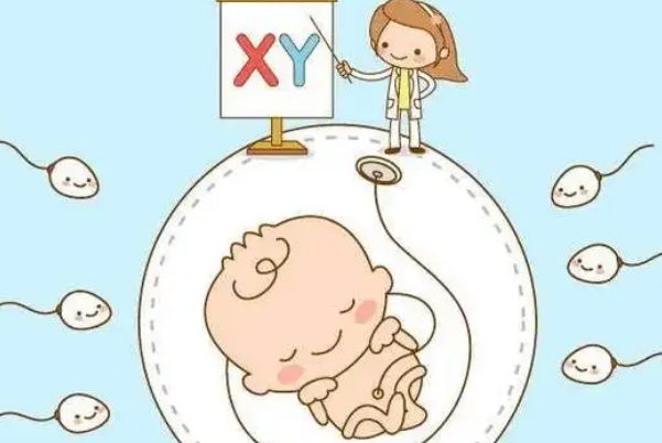 备孕男宝宝成功的方法，多吃牡蛎、牛肉有助于提升精子活力