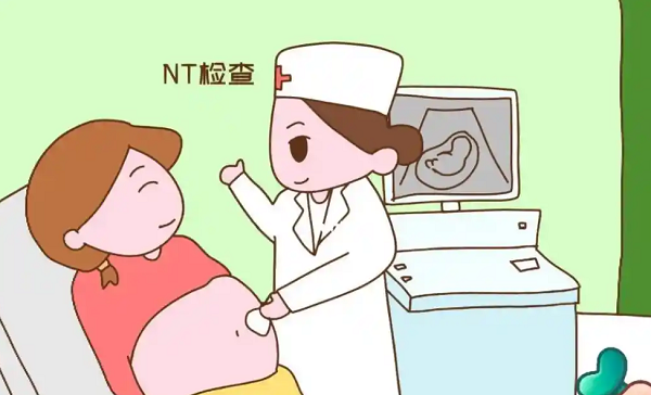 孕妇12周检查nt值1.8mm说明胎儿颈部透明带厚度正常吗?