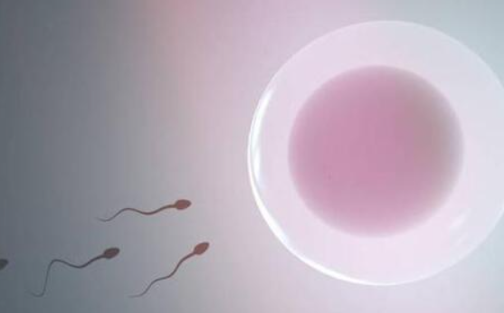 重庆西南医院做三代试管多少钱？附重庆西南医院生殖医学中心！