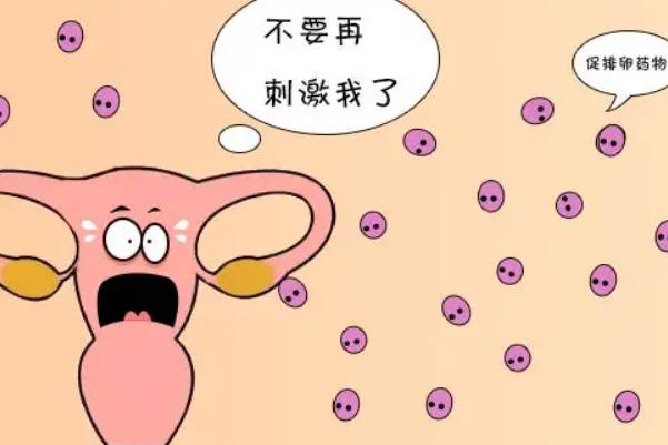 取卵会导致女性的卵巢受到刺激